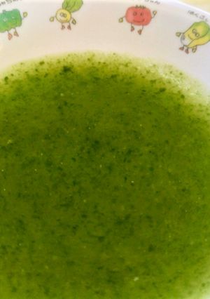 【離乳食 初期】ほうれん草のポタージュ-レシピのメイン写真