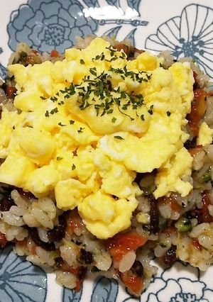 犬ご飯　オムライス-レシピのメイン写真