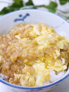 お財布の味方!天かす丼-レシピのメイン写真