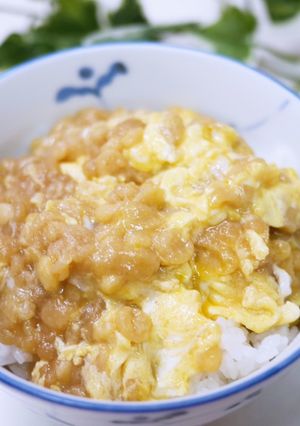 お財布の味方！天かす丼-レシピのメイン写真