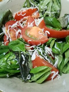 しらす干しとバジルのサラダ-レシピのメイン写真