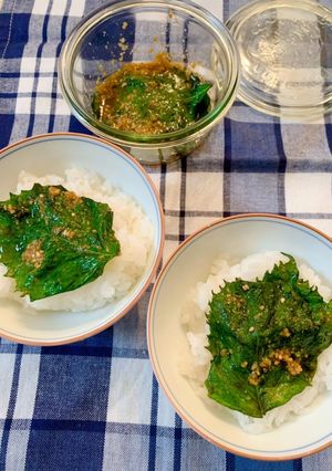大葉のわさび漬け-レシピのメイン写真