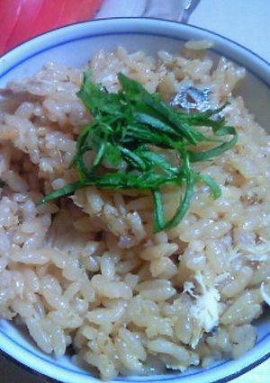 ＊しょうがで魚臭くない秋刀魚御飯＊-レシピのメイン写真