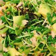 やみつき!豆苗と塩昆布のアボカドサラダ