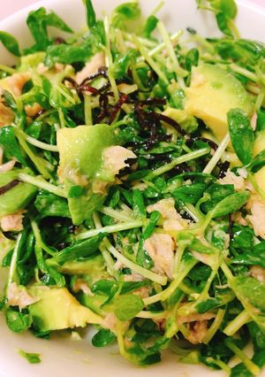 やみつき！豆苗と塩昆布のアボカドサラダ-レシピのメイン写真