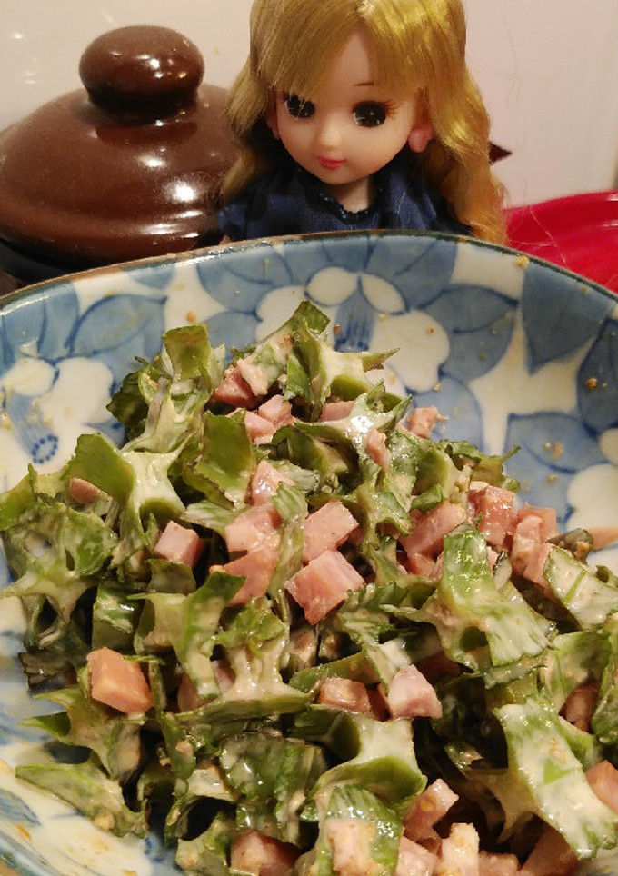 リカちゃん♡四角豆のハムごまマヨ和え*‧-レシピのメイン写真