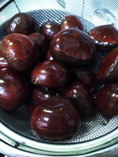 生栗の茹で方-レシピのメイン写真