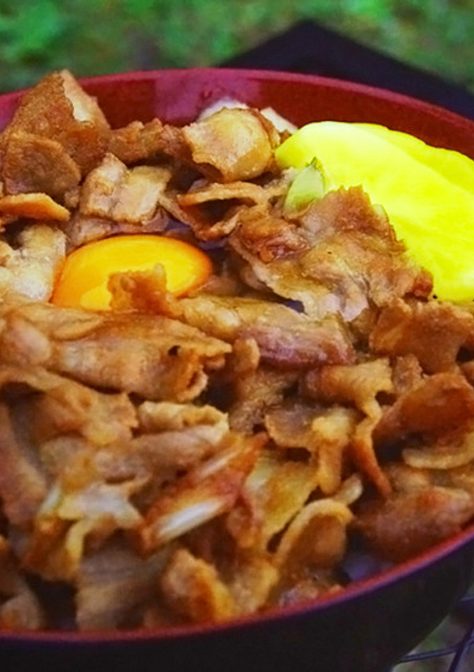 おうちでも簡単♪伝説のすた丼再現レシピ-レシピのメイン写真