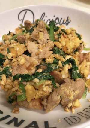 豚肉と青梗菜の中華風炒め！-レシピのメイン写真