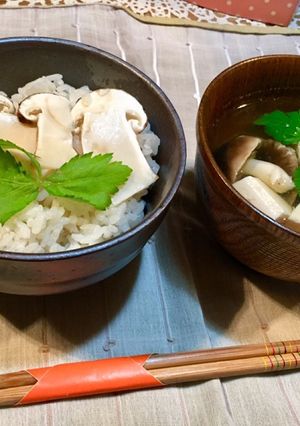 旬！まつたけご飯、香りがすごい♪-レシピのメイン写真