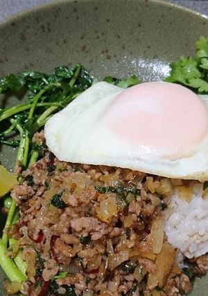 ガパオライス-レシピのメイン写真