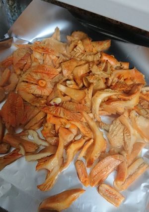 アカモミタケの塩コショウ焼き-レシピのメイン写真
