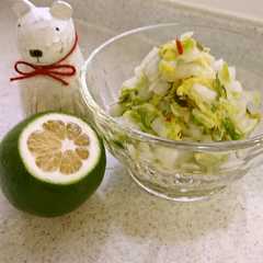 白菜の浅漬け　レモン風味-レシピのメイン写真