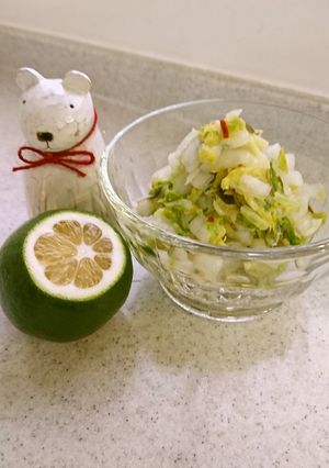 白菜の浅漬け　レモン風味-レシピのメイン写真