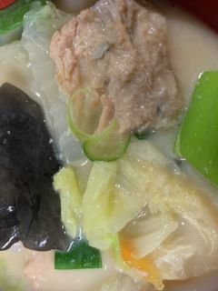 野菜たっぷり生シャケの粕汁-レシピのメイン写真