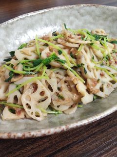 れんこんと豆苗のおかか炒め-レシピのメイン写真