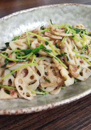 れんこんと豆苗のおかか炒め-レシピのメイン写真