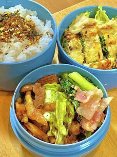 焼肉のたれのキャベツ炒め!タロの弁当52-レシピのメイン写真