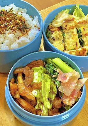 焼肉のたれのキャベツ炒め！タロの弁当52-レシピのメイン写真