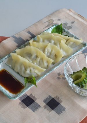 もずくとゴーヤーのわたの餃子-レシピのメイン写真