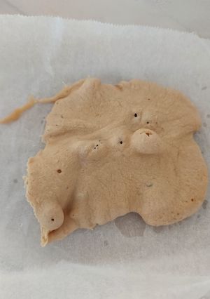 米粉、ミロ、しょうがクッキー-レシピのメイン写真