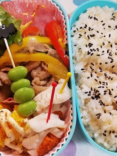 女子高校生毎日お弁当48♪-レシピのメイン写真