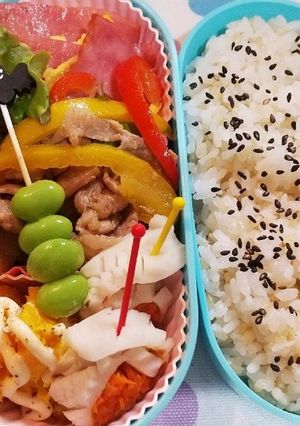 女子高校生毎日お弁当48♪-レシピのメイン写真