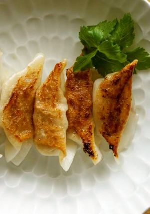 米粉の皮の焼き餃子-レシピのメイン写真