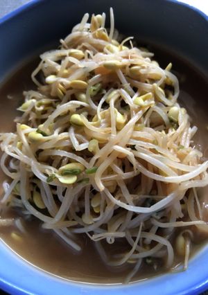 簡単、豆もやしのネギ味噌炒め。-レシピのメイン写真