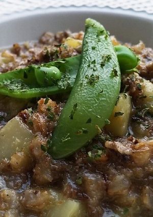 犬ご飯　茄子のミートリゾット-レシピのメイン写真