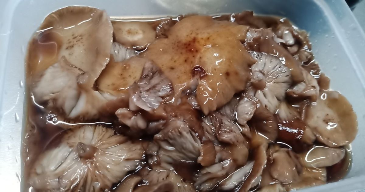 ナラタケ(さもだし)10本 楽天市場】天然ならたけ500g 秋田産【ご予約受付中10月発送