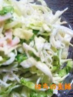 キャベツと大根のシャキシャキサラダ-レシピのメイン写真