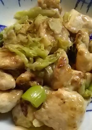 鶏肉と残り物野菜の塩葱醤炒め-レシピのメイン写真