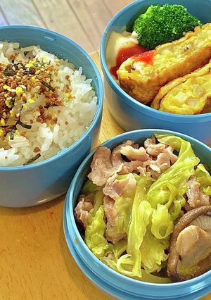キャベツと豚のかんたん煮　タロの弁当54-レシピのメイン写真