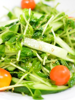 食欲そそる♬豆苗ときゅうりのうま塩サラダ-レシピのメイン写真