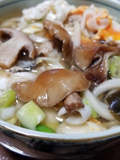 クリフウセンタケのうどん・美味なりぃ~-レシピのメイン写真