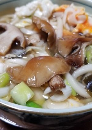 クリフウセンタケのうどん・美味なりぃ～-レシピのメイン写真