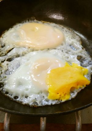 最速の烏骨鶏の目玉焼き-レシピのメイン写真