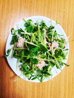豆苗サラダ-レシピのメイン写真
