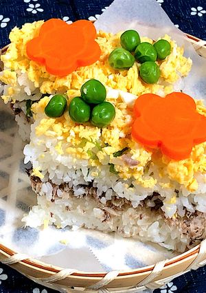 牛乳パックで簡単！鯖缶の減塩押し寿司-レシピのメイン写真