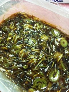 【長ネギ大量消費】ネギ辛味醤油-レシピのメイン写真