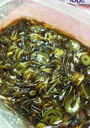 【長ネギ大量消費】ネギ辛味醤油-レシピのメイン写真