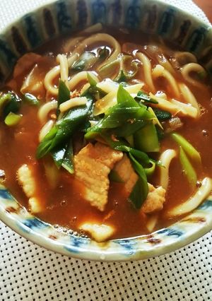 豚肉のカレー南蛮うどん-レシピのメイン写真