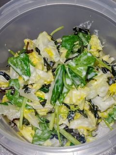 白菜と三つ葉のおつまみサラダ-レシピのメイン写真