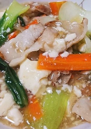 ☆豚肉とチンゲン菜のふわトロ豆腐餡☆-レシピのメイン写真