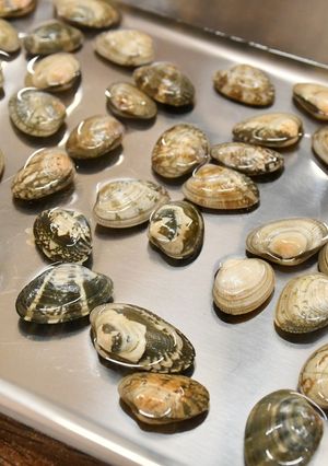 アサリの砂抜き　ＪＡにいがた南蒲-レシピのメイン写真