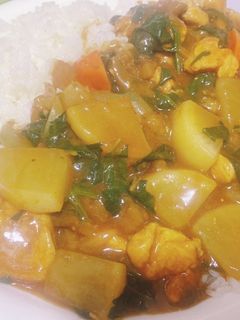 鶏胸肉と冬野菜のごろごろ和風カレー♪-レシピのメイン写真