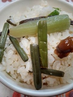 山菜炊き込みごはん-レシピのメイン写真