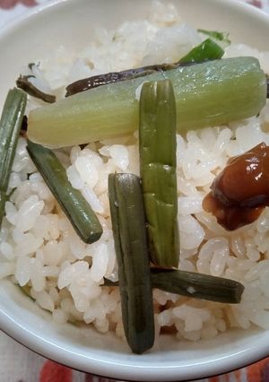 山菜炊き込みごはん-レシピのメイン写真