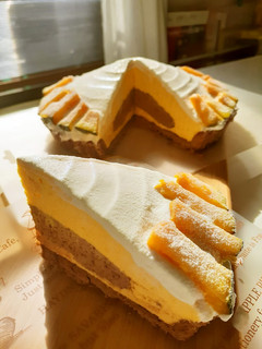 かぼちゃとココアのムース風♡ドームケーキ-レシピのメイン写真